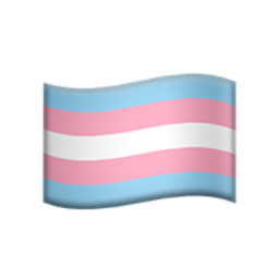 transgender flag