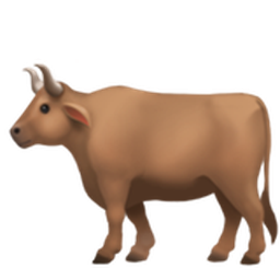 ์