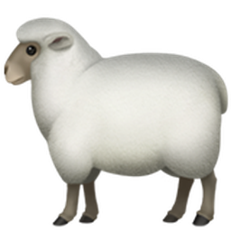 ์