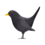 검은 새