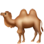 쌍봉 낙타