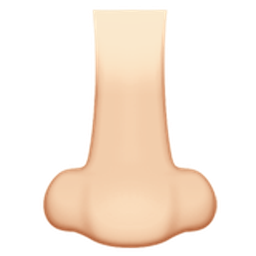 nose: light skin tone