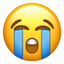 엉엉 우는 얼굴