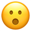 입벌린 얼굴