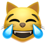 기쁨의 눈물을 흘리는 고양이 얼굴