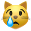 울고 있는 고양이 얼굴