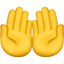 내민 두 손