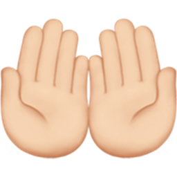 palms up together: light skin tone
