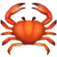 꽃게