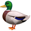 오리