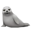 물개
