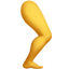 한쪽 다리
