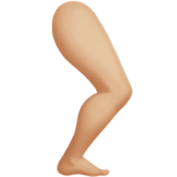한쪽 다리: 연한 갈색 피부