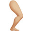 한쪽 다리: 연한 갈색 피부