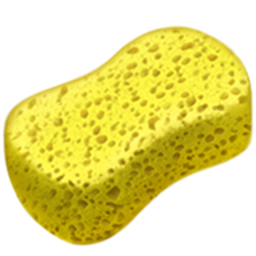 ์คํ์ง