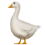 거위