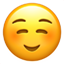 웃는 얼굴