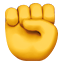 주먹
